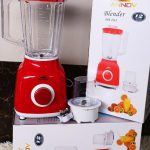 Annov 2 in 1 blender